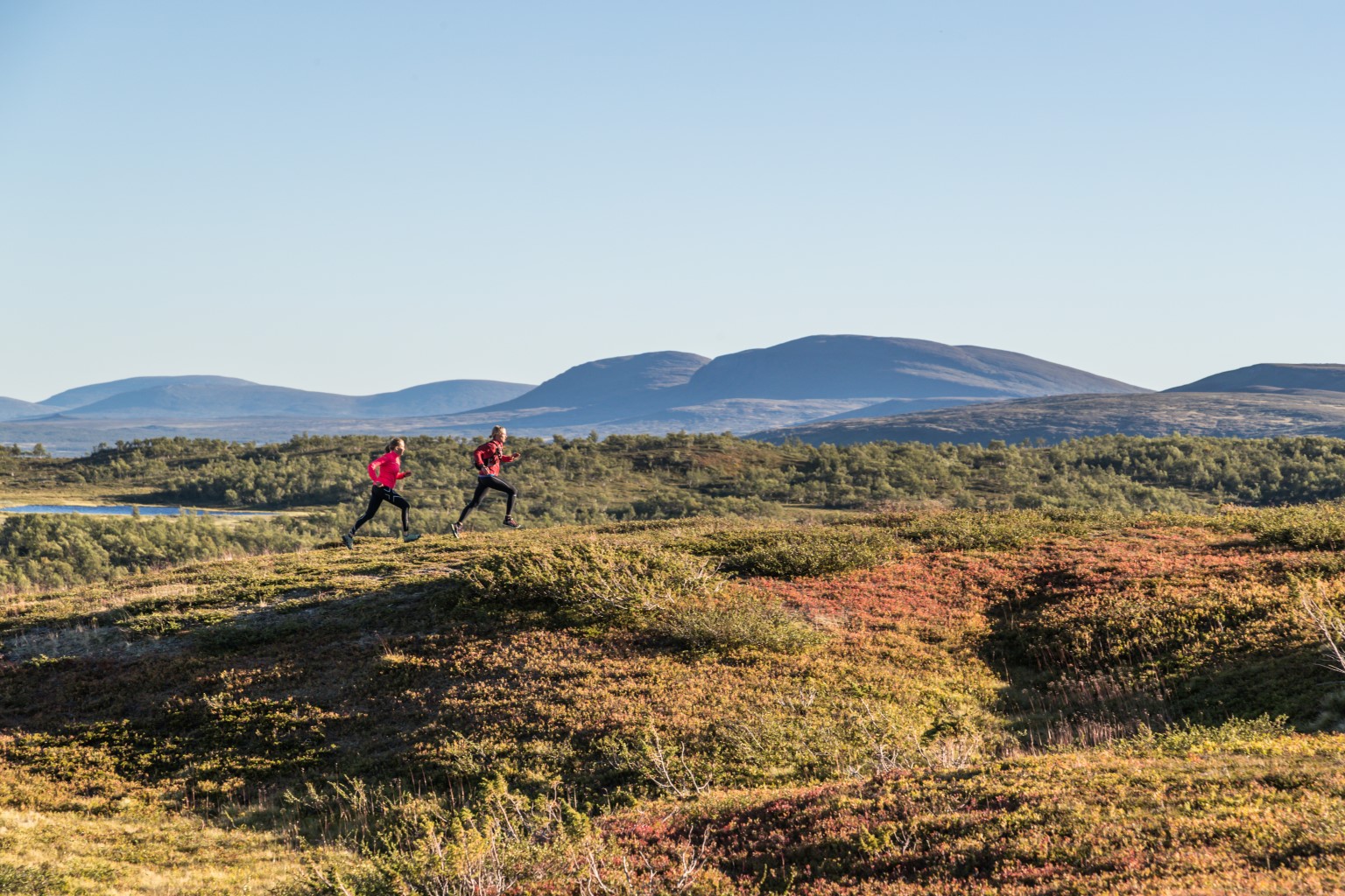 Funäsfjällen